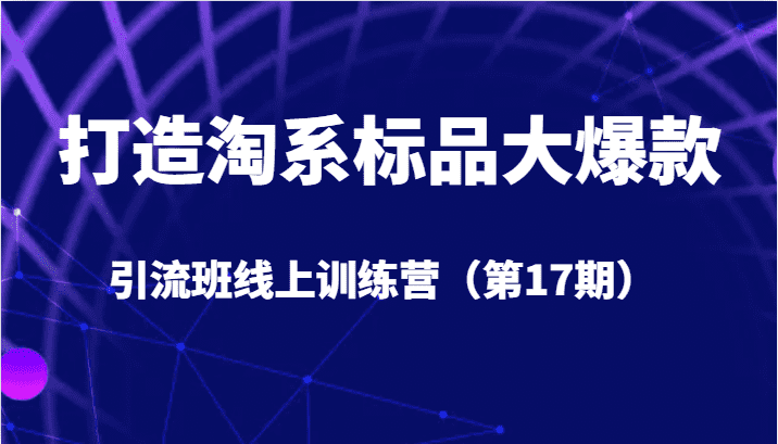 打造淘系标品大爆款引流班线上训练营（第17期）5天直播授课+1个月答疑-佛系网创