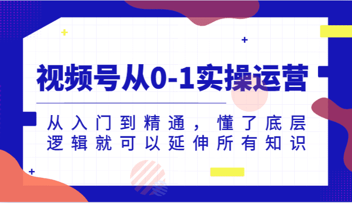 视频号从0-1实操运营，从入门到精通，懂了底层逻辑就可以延伸所有知识-佛系网创