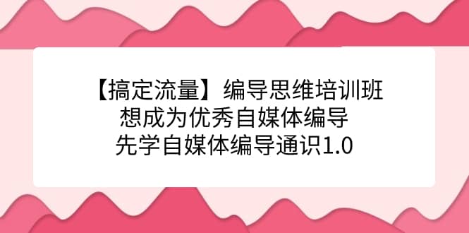 【搞定流量】编导思维培训班，想成为优秀自媒体编导先学自媒体编导通识1.0-佛系网创