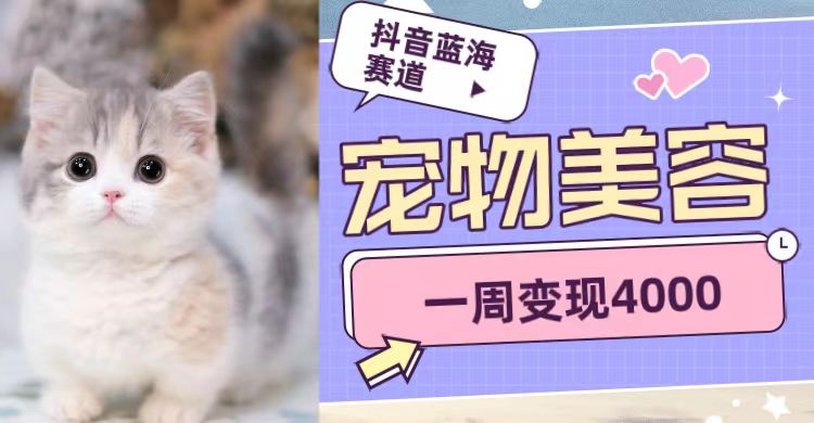 抖音蓝海赛道，宠物美容，一周变现4000-佛系网创