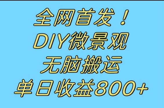 全网首发冷门赛道！DIY微景观，无脑搬运视频，日收益800+-佛系网创