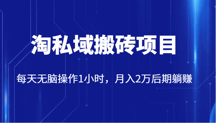 价值2980的淘私域搬砖项目，每天无脑操作1小时，月入2万后期躺赚-佛系网创