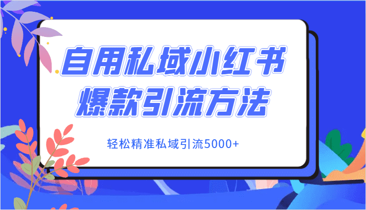 自用私域小红书爆款引流方法，轻松精准私域引流5000+-佛系网创