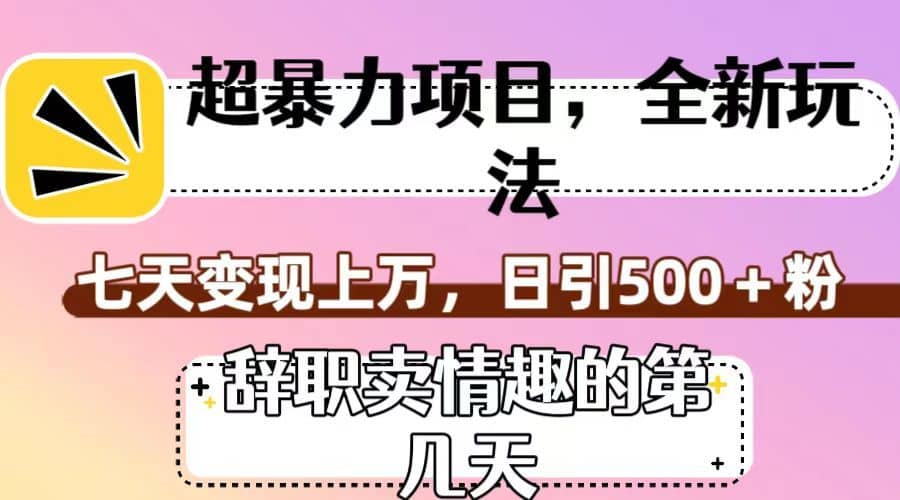 超暴利项目，全新玩法（辞职卖情趣的第几天），七天变现上万，日引500+粉-佛系网创
