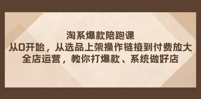 淘系爆款陪跑课 从选品上架操作链接到付费放大 全店运营 打爆款 系统做好店-佛系网创