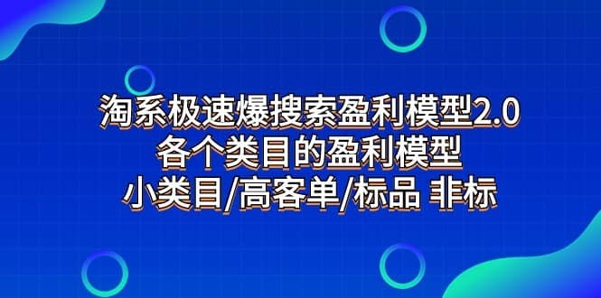 淘系极速爆搜索盈利模型2.0，各个类目的盈利模型，小类目/高客单/标品 非标-佛系网创