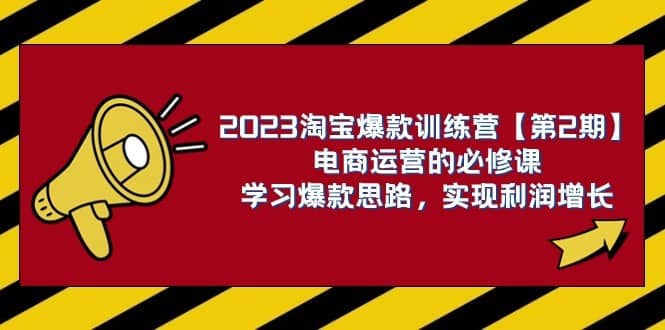2023淘宝爆款训练营【第2期】电商运营的必修课，学习爆款思路 实现利润增长-佛系网创