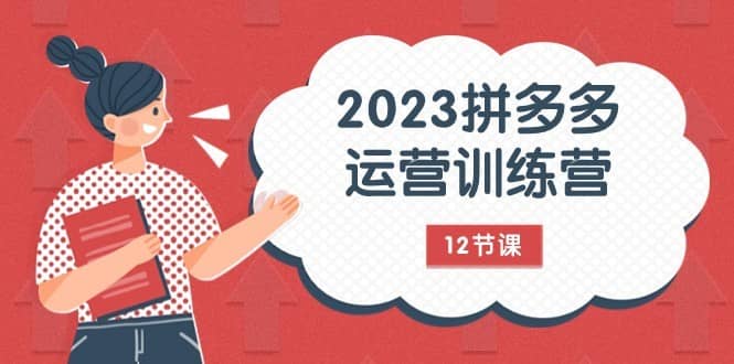 2023拼多多运营训练营：流量底层逻辑，免费+付费流量玩法（12节课）-佛系网创