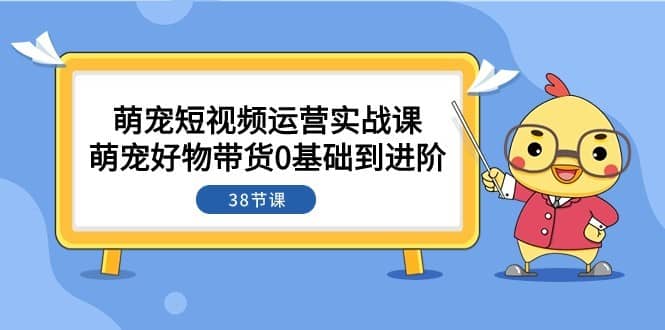 萌宠·短视频运营实战课：萌宠好物带货0基础到进阶（38节课）-佛系网创