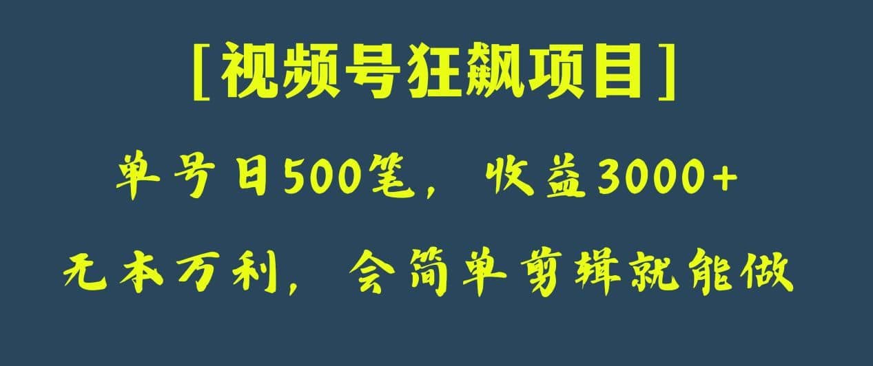 日收款500笔，纯利润3000+，视频号狂飙项目！-佛系网创
