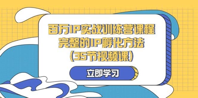 百万IP实战训练营课程，完整的IP孵化方法（35节视频课）-佛系网创