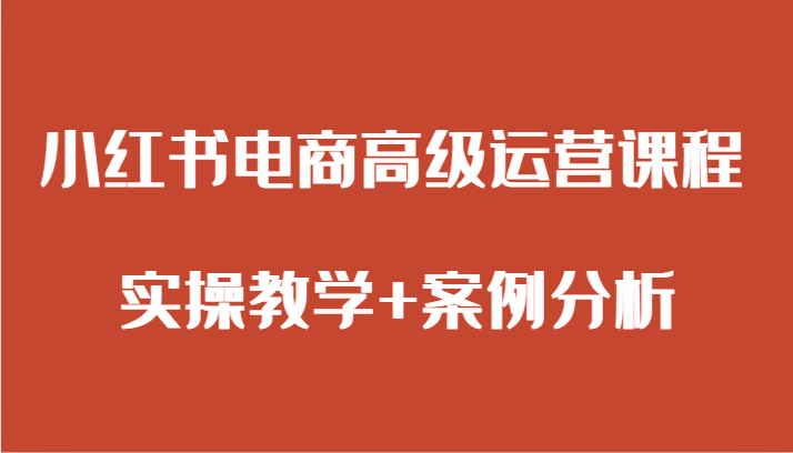 小红书电商高级运营课程 实操教学+案例分析-佛系网创