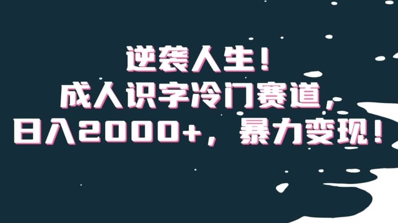 逆袭人生！成人识字冷门赛道，日入2000+，暴力变现！【揭秘】-佛系网创