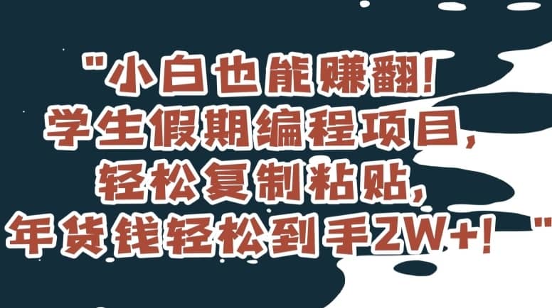 小白也能赚翻！学生假期编程项目，轻松复制粘贴，年货钱轻松到手2W+【揭秘】-佛系网创