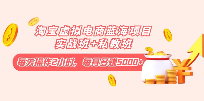 （4056期）淘宝虚拟电商蓝海项目实战班+私教班：每天操作2小时，每月多赚5000+-佛系网创