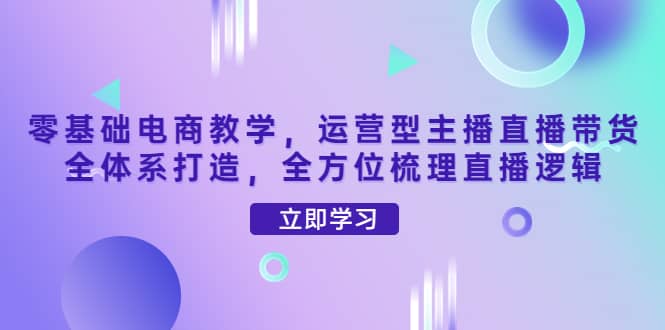（4095期）零基础电商教学，运营型主播直播带货全体系打造，全方位梳理直播逻辑-佛系网创
