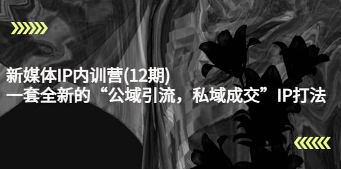 （4103期）新媒体IP内训营(12期)，一套全新的“公域引流，私域成交”IP打法，直接带走-佛系网创