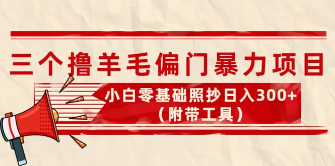 （4110期）外面卖998的三个撸羊毛偏门暴力项目，小白零基础照抄日入300+（附带工具）-佛系网创
