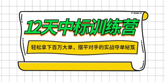 （4116期）12天中标训练营：轻松拿下百万大单，摆平对手的实战夺单秘笈！-佛系网创