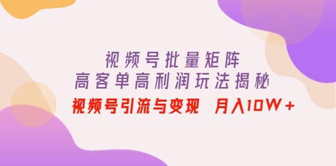 （4193期）视频号批量矩阵的高客单高利润玩法揭秘： 视频号引流与变现 月入10W+-佛系网创