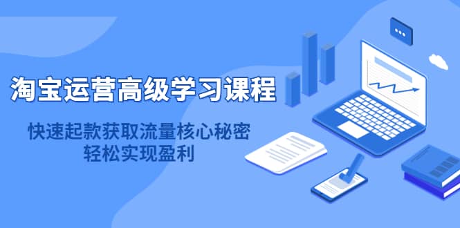 （4385期）淘宝运营高级学习课程：快速获取流量核心秘密，轻松实现盈利！-佛系网创