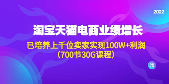 （4409期）淘系天猫电商业绩增长：已培养上千位卖家实现100W+利润（700节30G课程）-佛系网创