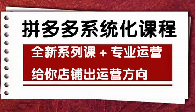 （4259期）车神陪跑，拼多多系统化课程，全新系列课+专业运营给你店铺出运营方向-佛系网创