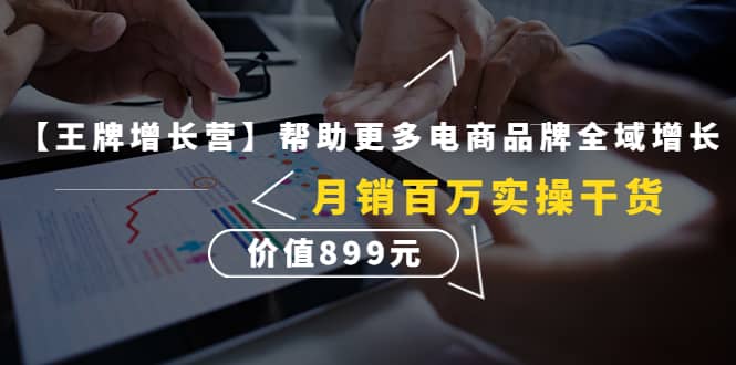 （4264期）【王牌增长营】帮助更多电商品牌全域增长，月销百万实操干货，价值899元-佛系网创