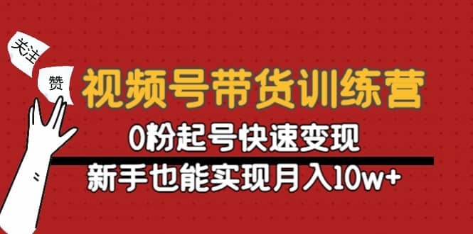 （4446期）视频号带货训练营：0粉起号快速变现，新手也能实现月入10w+-佛系网创