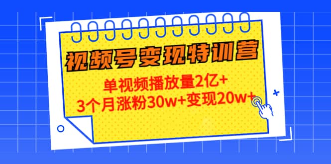 （4455期）20天视频号变现特训营：单视频播放量2亿+3个月涨粉30w+变现20w+-佛系网创
