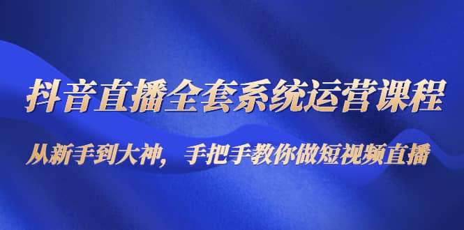 （4458期）抖音直播全套系统运营课程：从新手到大神，手把手教你做直播短视频-佛系网创