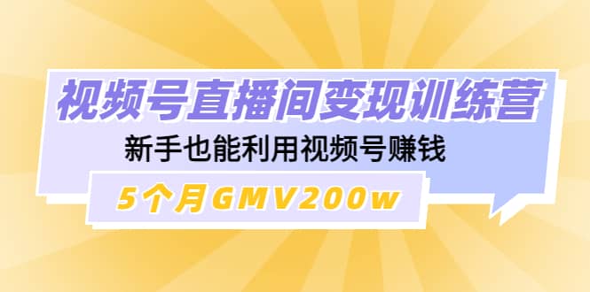 （4468期）视频号直播间变现训练营：新手也能利用视频号赚钱，5个月GMV200w-佛系网创
