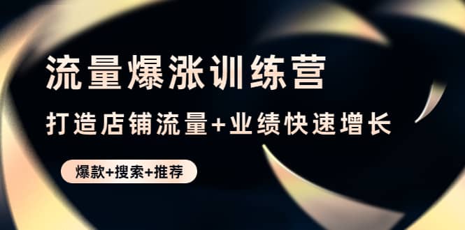 （4487期）流量爆涨训练营：打造店铺流量+业绩快速增长 (爆款+搜索+推荐)-佛系网创