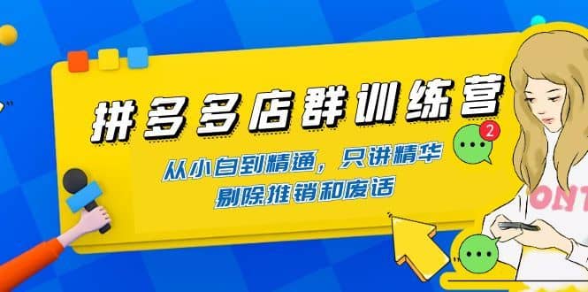 （4318期）拼多多店群训练营：从小白到精通，只讲精华，剔除推销和废话-佛系网创