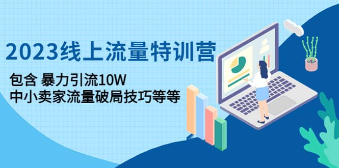 （4567期）2023线上流量特训营：包含暴力引流10W+中小卖家流量破局技巧等等-佛系网创