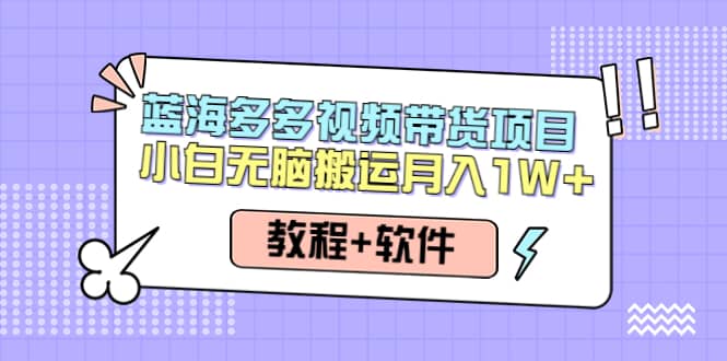 （4343期）人人都能操作的蓝海多多视频带货项目 小白无脑搬运月入10000+（教程+软件）-佛系网创