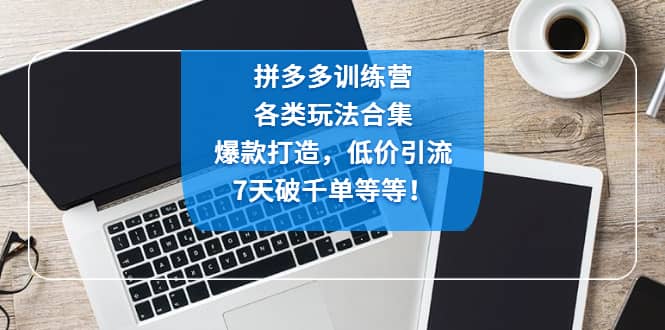 （4693期）拼多多训练营：各玩法合集，爆款打造，低价引流，7天破千单等等！-佛系网创