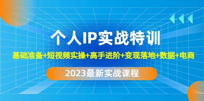 （4735期）2023个人IP实战特训：基础准备+短视频实操+高手进阶+变现落地+数据+电商-佛系网创