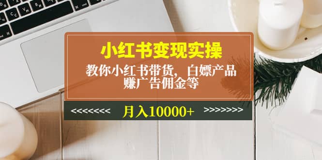 （4780期）小红书变现实操：教你小红书带货，白嫖产品，赚广告佣金等，月入10000+-佛系网创