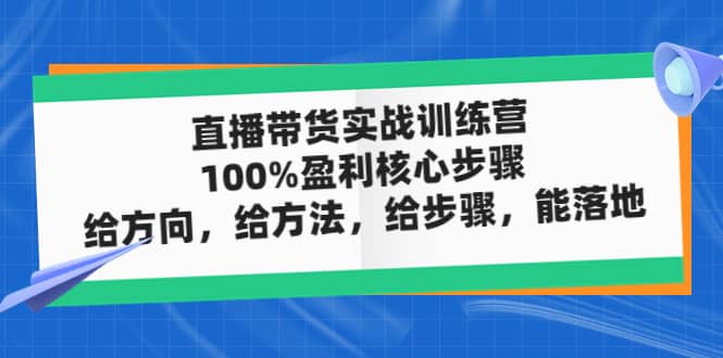 （4785期）直播带货实战训练营：100%盈利核心步骤，给方向，给方法，给步骤，能落地-佛系网创