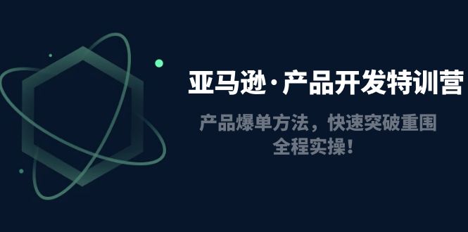 （4882期）亚马逊·产品开发特训营：产品爆单方法，快速突破重围，全程实操！-佛系网创