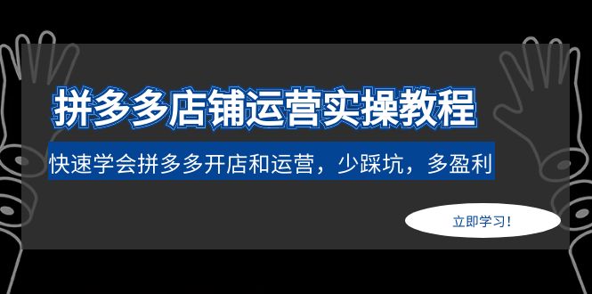 （4883期）拼多多店铺运营实操教程：快速学会拼多多开店和运营，少踩坑，多盈利-佛系网创