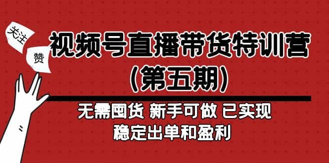（4945期）视频号直播带货特训营（第五期）无需囤货 新手可做 已实现稳定出单和盈利-佛系网创