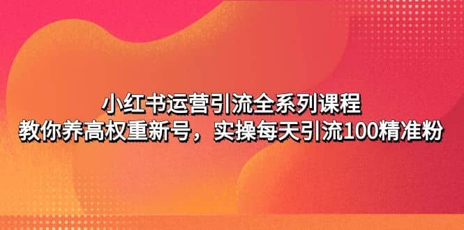 （4950期）小红书运营引流全系列课程：教你养高权重新号，实操每天引流100精准粉-佛系网创