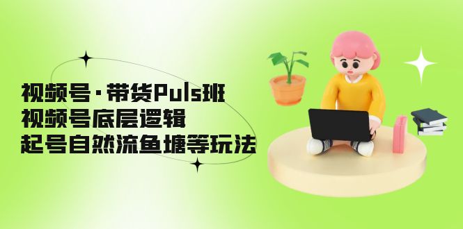 （5027期）视频号·带货Puls班，视频号底层逻辑，起号自然流鱼塘等玩法-佛系网创