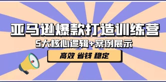 （5107期）亚马逊爆款打造训练营：5大核心逻辑+案例展示 打造爆款链接 高效 省钱 稳定-佛系网创
