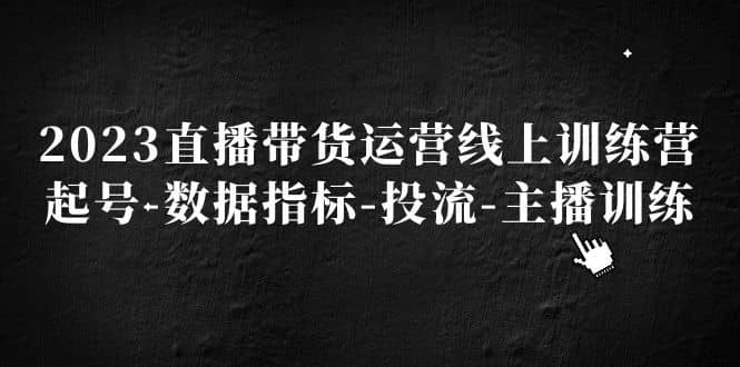 （5121期）2023淘系爆款特训营，2023最新运营打法，学习爆款思维，实现利润增长-佛系网创