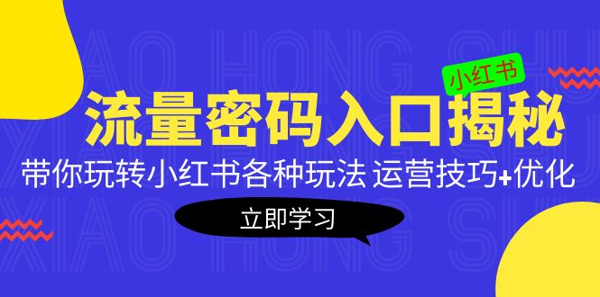 （5179期）小红书流量密码入口揭秘：带你玩转小红书各种玩法 运营技巧+优化！-佛系网创