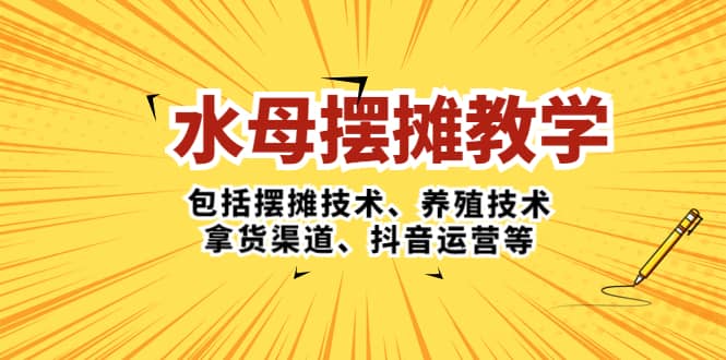 （5197期）水母·摆摊教学，包括摆摊技术、养殖技术、拿货渠道、抖音运营等-佛系网创