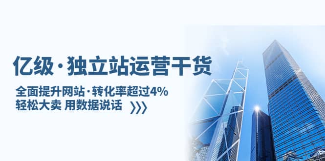 （5279期）亿级·独立站运营干货：全面提升网站·转化率超过4%，轻松大卖 用数据说话-佛系网创